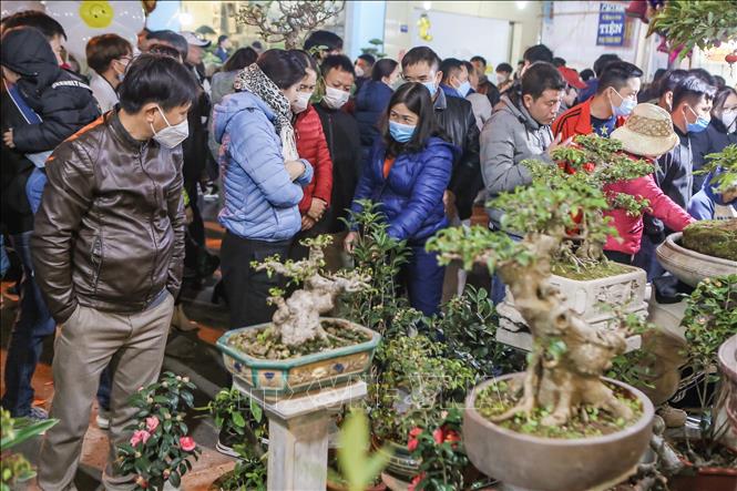 Gian hàng bày bán các loại cây giống, cây cảnh tại chợ Viềng thu hút rất đông lượng khách tới mua. Ảnh: Công Luật - TTXVN
