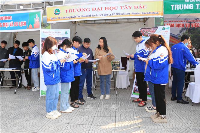 Tư vấn hướng nghiệp cho học sinh Trung học cơ sở, Trung học phổ thông. Ảnh: Hữu Quyết - TTXVN