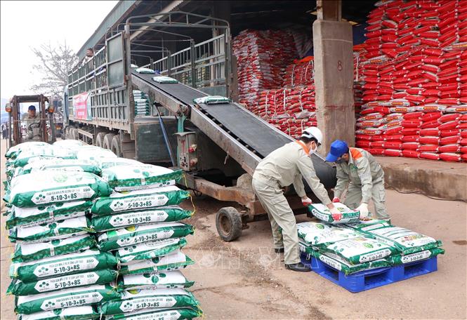 Công nhân Công ty Cổ phần Supe Phốt phát và Hóa chất Lâm Thao vận chuyển sản phẩm phân bón mới lên xe của khách hàng. Ảnh: Trung Kiên - TTXVN