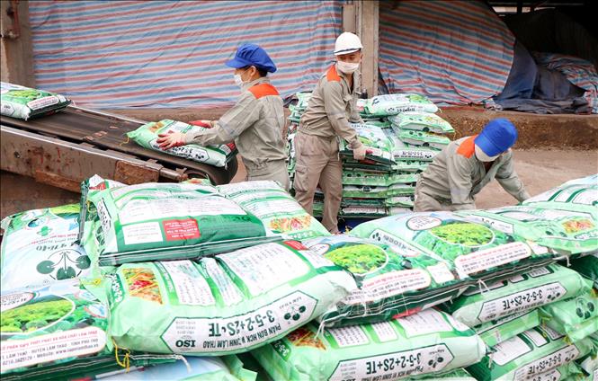 Công nhân Công ty Cổ phần Supe Phốt phát và Hóa chất Lâm Thao vận chuyển sản phẩm phân bón mới lên xe của khách hàng. Ảnh: Trung Kiên - TTXVN