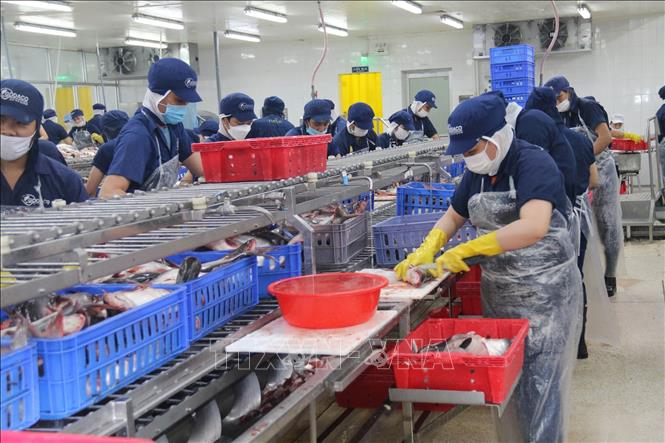 Trong ảnh: Hoạt động sản xuất tại Công ty Cổ phần Gò Đàng (Khu Công nghiệp Mỹ Tho, Tiền Giang). Ảnh: Minh Trí - TTXVN