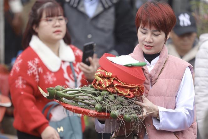 Người dân địa phương và du khách sắp lễ đến đền Trần từ sáng sớm ngày 4/2 để cầu một năm mới sức khoẻ, an khang và hạnh phúc. Ảnh: Minh Quyết - TTXVN