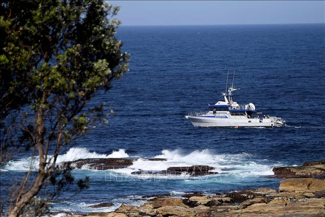 Tàu đánh cá tuần tra tại khu vực thường xảy ra các vụ cá mập tấn công trên bãi biển Little Bay ở  Sydney, Australia. Ảnh: AFP/TTXVN