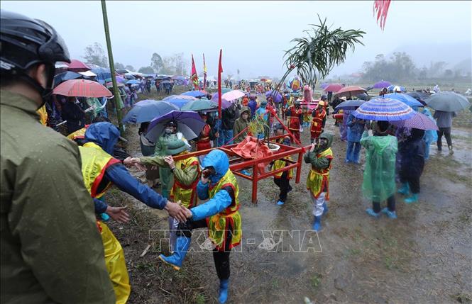 Đoàn rước đi từ đình làng Mỏ qua nhiều khu vực ruộng lúa của nhân dân trong vùng. Nhiều khu vực ruộng bậc cao, bậc thấp khiến thanh niên rước kiệu phải nhờ sự trợ giúp của người dân để vượt qua. Ảnh: Anh Tuấn – TTXVN