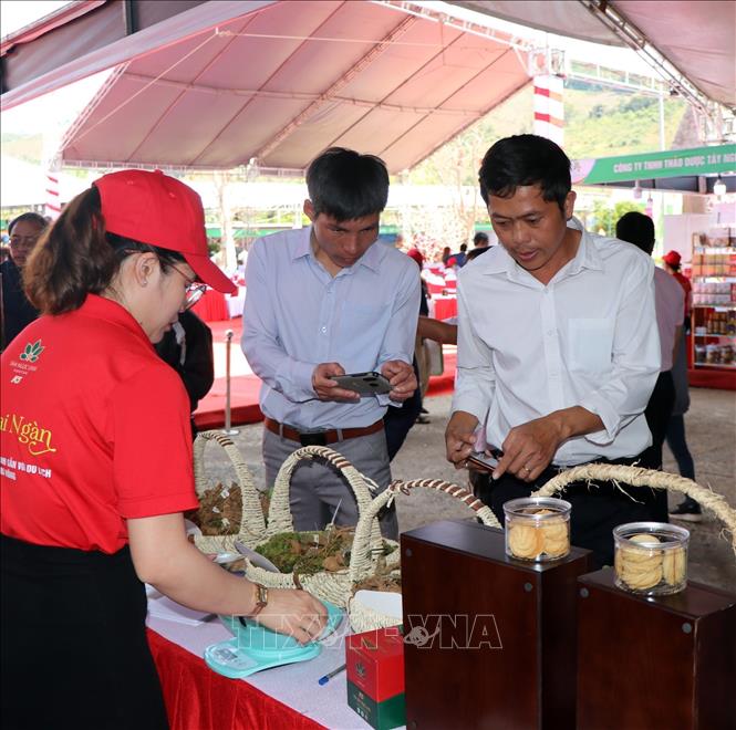 Du khách tham quan phiên chợ sâm Ngọc Linh. Ảnh: Cao Nguyên-TTXVN
