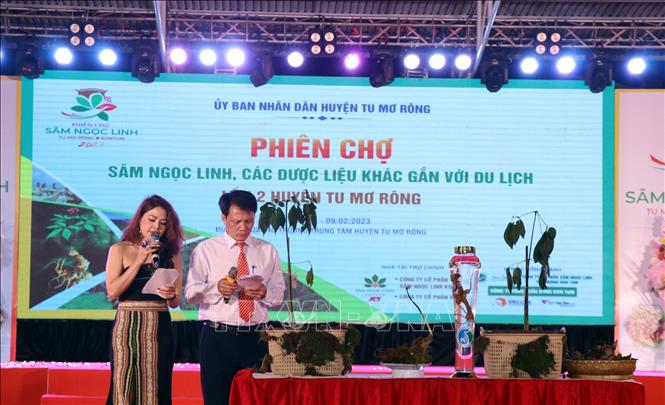 Tổ chức đấu giá các củ sâm Ngọc Linh đạt giải cao tại Hội thi sâm Ngọc Linh lần thứ nhất. Ảnh: Cao Nguyên-TTXVN
