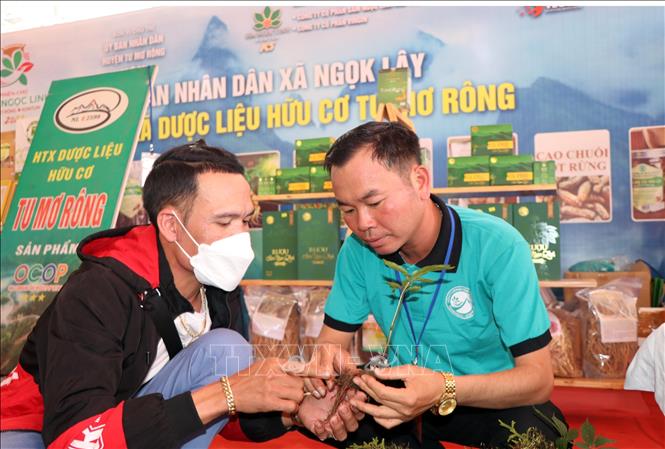 Du khách tham quan phiên chợ. Ảnh: Cao Nguyên-TTXVN

