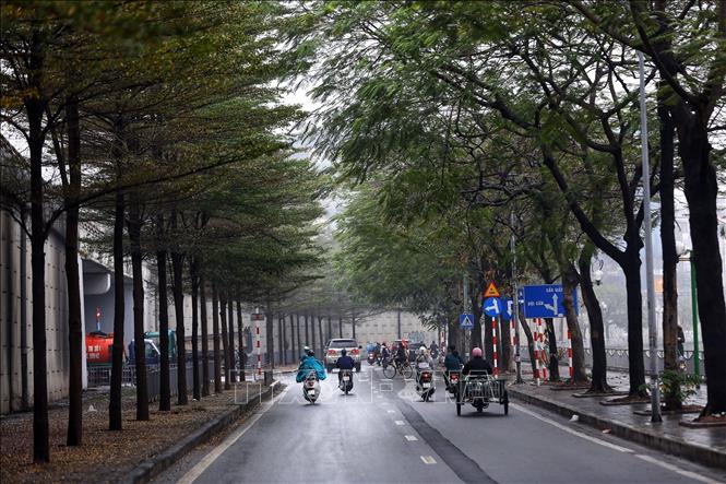 Buoi street with green trees on a misty morning. VNA Photo: Huy Hùng