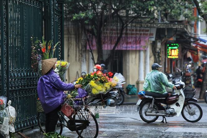 A flower cart in Hanoi's drizzle. VNA Photo: Tuấn Anh
