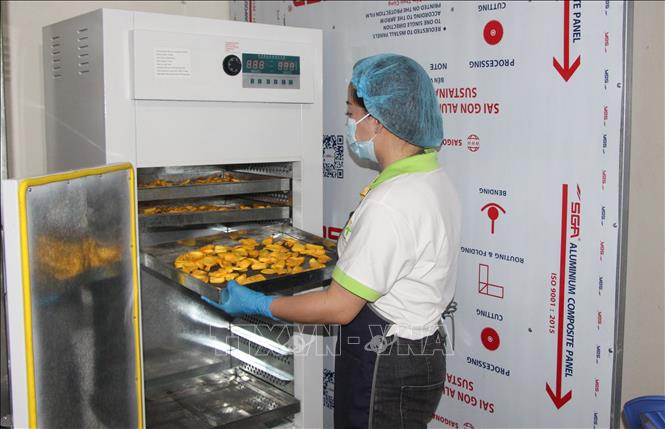 Trong ảnh: Công nhân thực hiện quy trình sản xuất mít sấy. Ảnh: Hồng Thái - TTXVN
