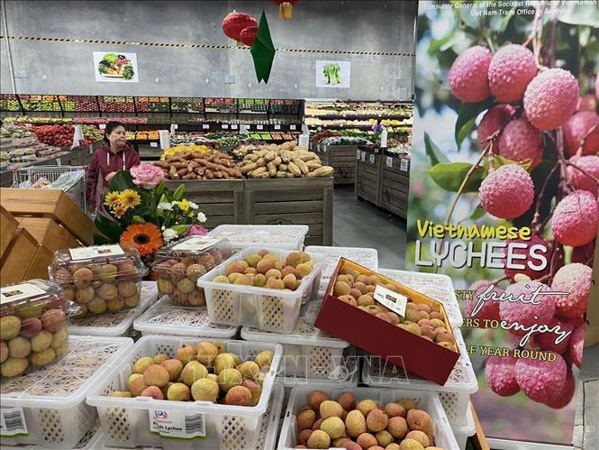 Vietnamese lychee is at a supermarket in Australia. VNA Photo: Diệu Linh