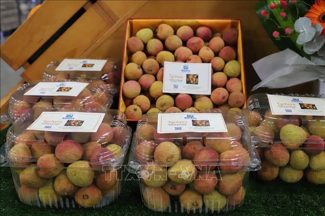 Vietnamese lychee is at a supermarket in Australia. VNA Photo: Diệu Linh