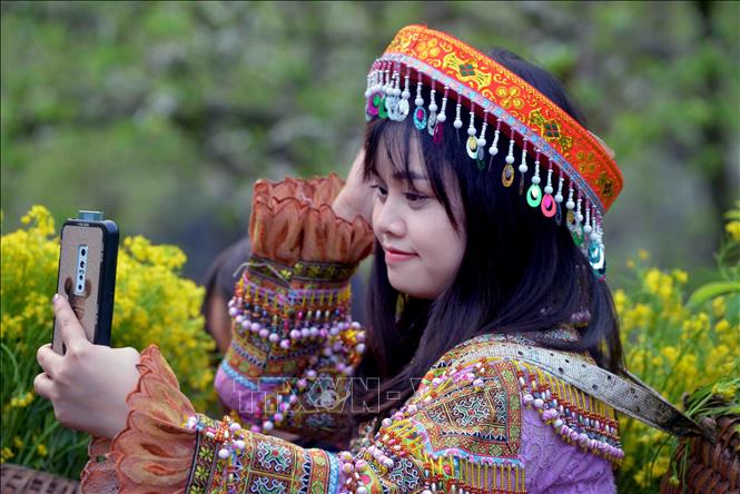 Plum flower gardens draw tourists to contemplate and take photos. VNA Photo: Quang Quyết