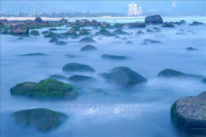 Trong ảnh: Mỗi khi thủy triều dâng, bãi đá rêu ngập trong nước như được ẩn hiện trong một lớp sương mờ. Ảnh: Trần Lê Lâm – TTXVN 