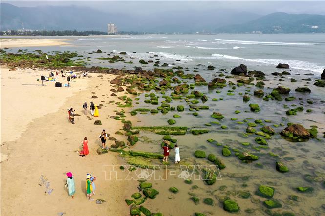 Trong ảnh: Đông đảo người dân, du khách đến tham quan, vui chơi chụp ảnh và tận hưởng vẻ đẹp do thiên nhiên ban tặng. Ảnh: Trần Lê Lâm – TTXVN 