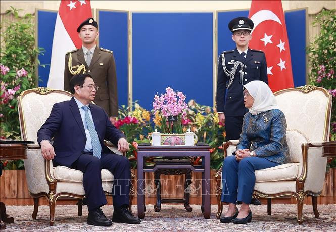 Prime Minister Pham Minh Chinh meets with Singaporean President Halimah Yacob on February 9. VNA Photo: Dương Giang