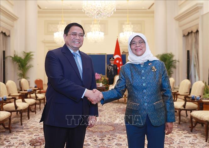 Prime Minister Pham Minh Chinh meets with Singaporean President Halimah Yacob on February 9. VNA Photo: Dương Giang