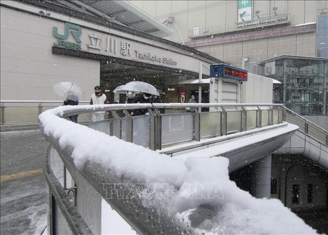 Tuyết phủ trắng xóa tại Tokyo, Nhật Bản, ngày 10/2/2023. Ảnh: Kyodo/ TTXVN