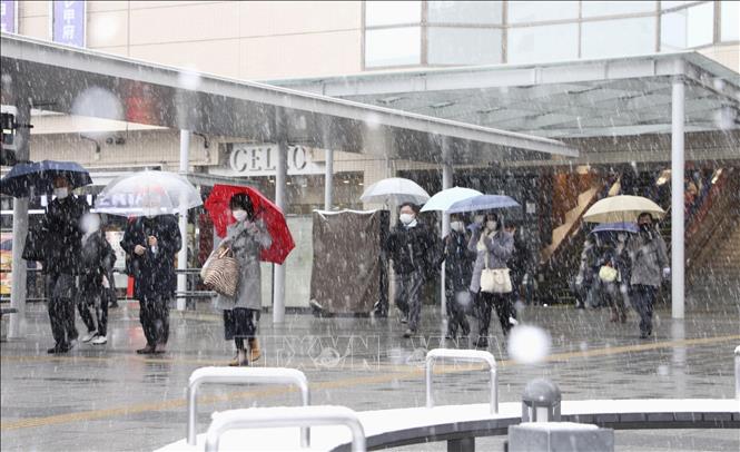 Người dân di chuyển trên đường phố dưới trời tuyết rơi dày đặc tại Tokyo, Nhật Bản, ngày 10/2/2023. Ảnh: Kyodo/ TTXVN