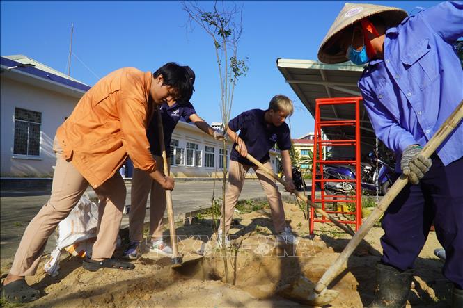 Học sinh tham gia trồng cây quanh khuôn viên trường. Ảnh: TTXVN phát