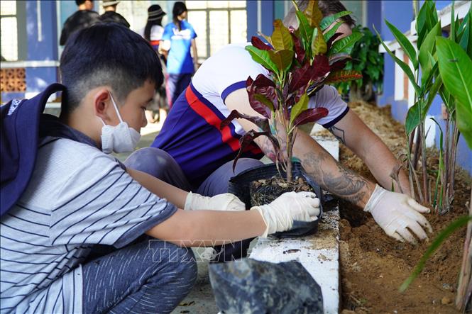 Học sinh tham gia trồng cây quanh khuôn viên trường. Ảnh: TTXVN phát