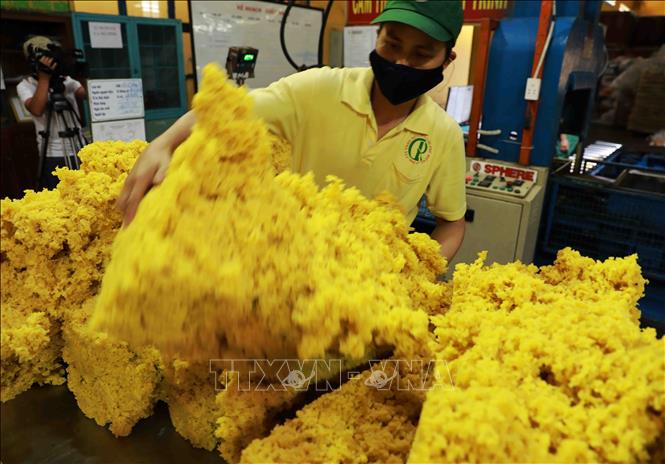 Rubber is one of export staples of Vietnam to China. VNA Photo