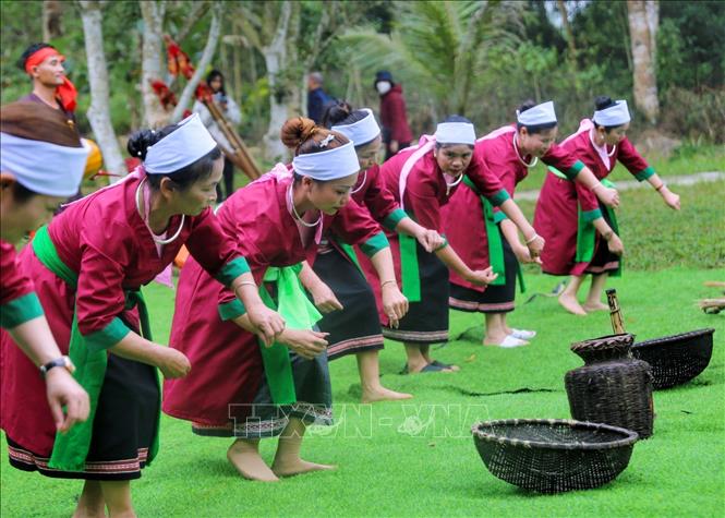 Màn gặt lúa của dân tộc Thổ tỉnh Thanh Hoá. Ảnh: Tuấn Đức - TTXVN