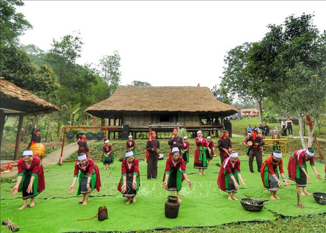 Màn gặt lúa của dân tộc Thổ tỉnh Thanh Hoá. Ảnh: Tuấn Đức - TTXVN