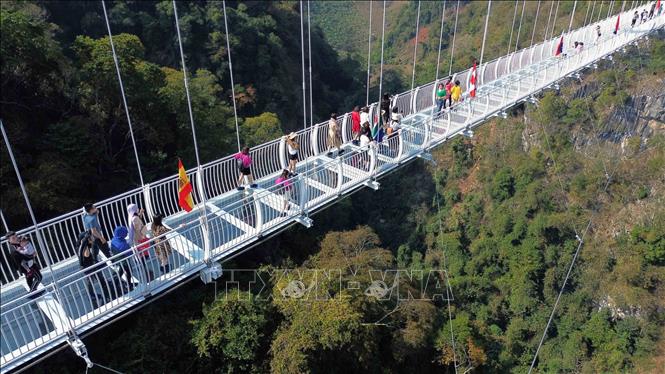 Trong ảnh: Đông đảo du khách đến tham quan Khu du lịch Mộc Châu Island, với điểm nổi bật là cầu kính Bạch Long. Ảnh: Quang Quyết-TTXVN