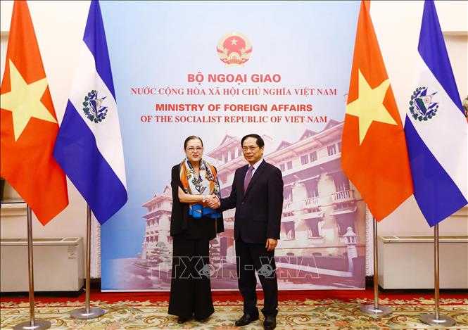 Minister of Foreign Affairs Bui Thanh Son welcomes his El Salvador counterpart Alexandra Hill Tinoco. VNA Photo: Lâm Khánh