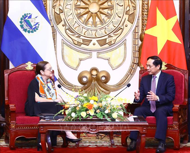 Minister of Foreign Affairs Bui Thanh Son talks to his El Salvador counterpart Alexandra Hill Tinoco. VNA Photo: Lâm Khánh