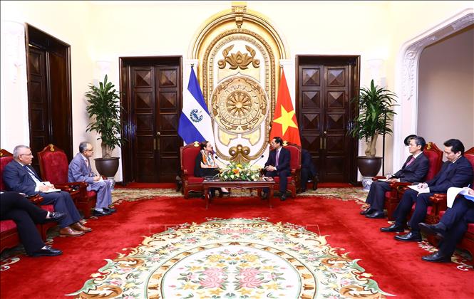 Minister of Foreign Affairs Bui Thanh Son receives his El Salvador counterpart Alexandra Hill Tinoco. VNA Photo: Lâm Khánh