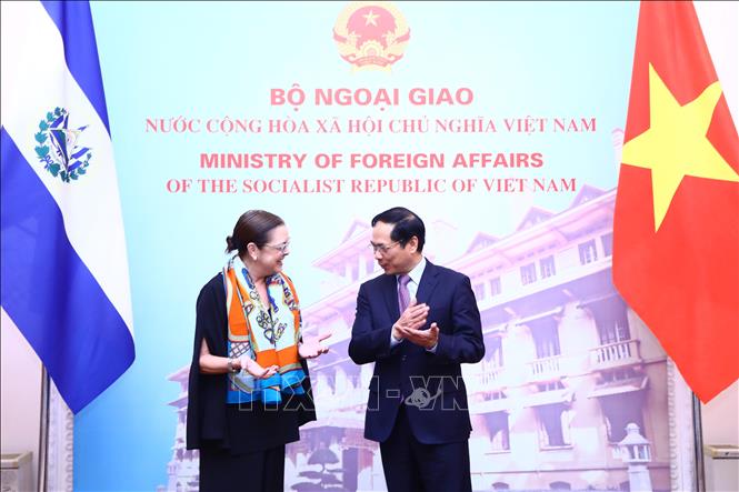 Minister of Foreign Affairs Bui Thanh Son welcomes his El Salvador counterpart Alexandra Hill Tinoco. VNA Photo: Lâm Khánh