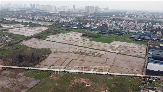 Đường vành đai 4 qua xã Đông La phải thu hồi là 32,23 ha (trong đó đất ở là 0,6ha). Ảnh: Huy Hùng - TTXVN