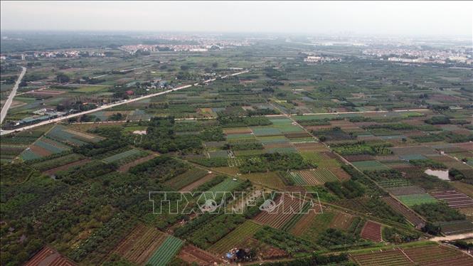 Diện tích đất nông nghiệp phải thu hồi để thi công đường vành đai 4 của huyện Hoài Đức là 166,48 ha. Ảnh: Huy Hùng - TTXVN