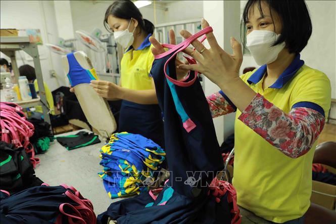 Workers at a plant of the Ha Dong Garment Co. Ltd. in Tan Hoi commune, Dan Phuong district, Hanoi. VNA Photo: Vũ Sinh