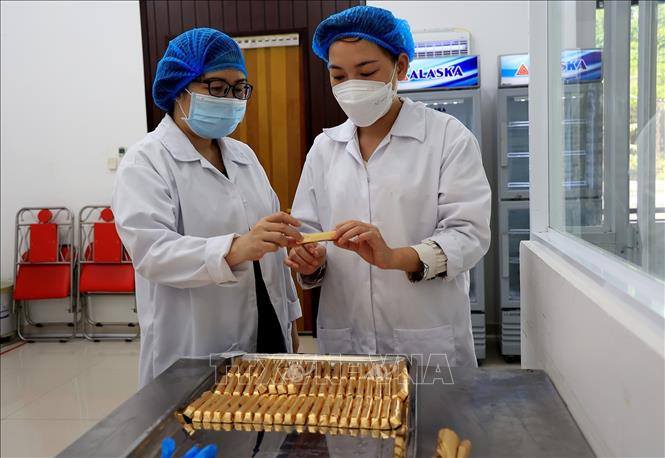 Trong ảnh: Khách du lịch tìm hiểu sản phẩm mang thương hiệu Binon Cacao. Ảnh: Hồng Đạt - TTXVN

