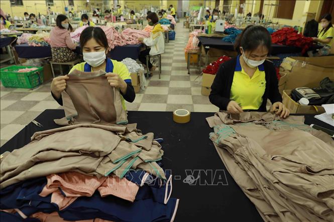 Workers at a plant of the Ha Dong Garment Co. Ltd. in Tan Hoi commune, Dan Phuong district, Hanoi. VNA Photo: Vũ Sinh