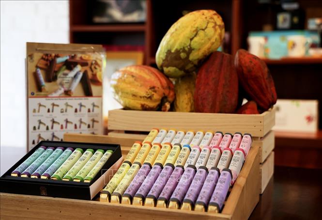 Trong ảnh: Các sản phẩm thương hiệu Binon Cacao bán trong các siêu thị Nhật Bản tại Việt Nam và xuất khẩu đi Nhật Bản. Ảnh: Hồng Đạt - TTXVN

