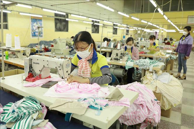 Workers at a plant of the Ha Dong Garment Co. Ltd. in Tan Hoi commune, Dan Phuong district, Hanoi. VNA Photo: Vũ Sinh
