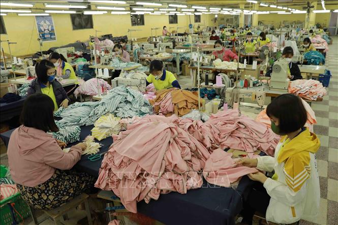 Workers at a plant of the Ha Dong Garment Co. Ltd. in Tan Hoi commune, Dan Phuong district, Hanoi. VNA Photo: Vũ Sinh