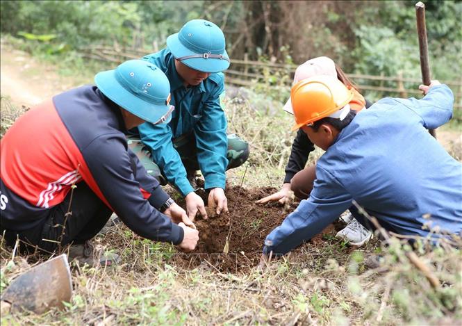 Cán bộ cùng nhân dân xã vùng cao Pha Mu, huyện Than Uyên (Lai Châu) trồng cây trong ngày phát động. Ảnh: Quý Trung – TTXVN