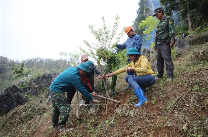 Cán bộ, người dân xã Pha Mu, huyện Than Uyên (Lai Châu) trồng cây tại bản Huổi Bắc. Ảnh: Quý Trung – TTXVN