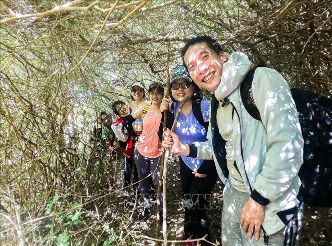 Young tourists explore the Nui Chua Biosphere Reserve in the central province of Ninh Thuan. VNA Photo