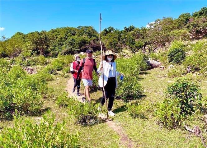 Young tourists explore the Nui Chua Biosphere Reserve in the central province of Ninh Thuan. VNA Photo