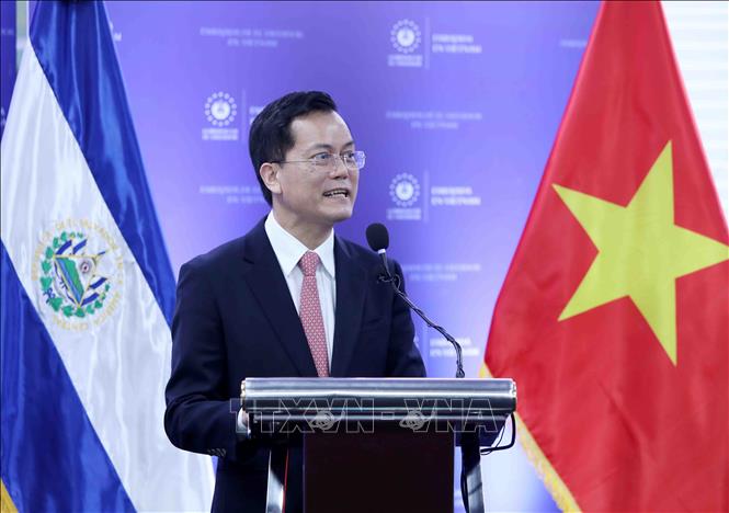 Foreign Deputy Minister Ha Kim Ngoc speaks at the ceremony. VNA Photo: An Đăng 