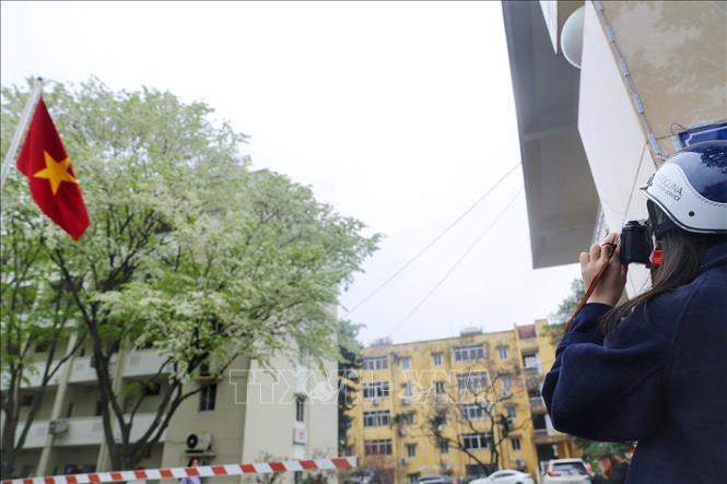 A photographer carefully captures the beauty of sua flowers in Hanoi. VNA Photo: Tuấn Đức