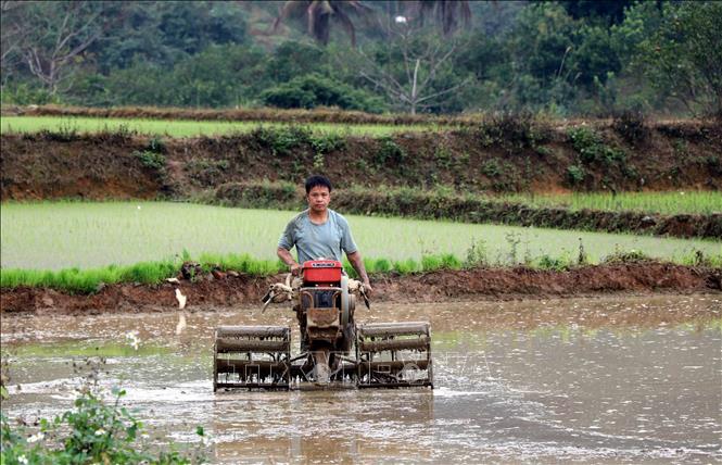Trong ảnh: Người dân xã Yên Lâm, huyện Hàm Yên (Tuyên Quang) gieo cấy vụ lúa xuân 2023. Ảnh: Vũ Quang – TTXVN