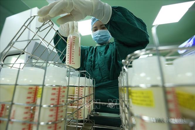 Ngân hàng sữa mẹ đầu tiên tại Hà Nội chính thức hoạt động từ tháng 3/2022, là kết quả của sự chỉ đạo, hướng dẫn của Bộ Y tế; sự hỗ trợ của Chính phủ Ireland, Alive & Thrive và Newborns Việt Nam. Đến nay, ngân hàng Sữa Mẹ đã hỗ trợ hàng nghìn trẻ sinh non, nhẹ cân, bệnh lý đang điều trị tại Bệnh viện Nhi Trung ương được hưởng trọn vẹn lợi ích của sữa mẹ. Ảnh: Minh Quyết – TTXVN