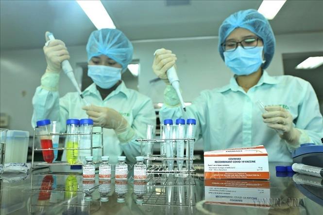 Nhân viên Công ty TNHH Một thành viên Vaccine và Sinh phẩm số 1 (VABIOTECH) thử nghiệm định lượng Protein trong vaccine ngừa COVID-19. Ảnh: Minh Quyết - TTXVN